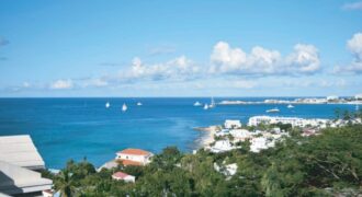 Panoramic Pelican Key Land