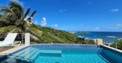 Villa Twin Palms – Your Secluded Oasis in Dawn Beach Estates, St. Maarten