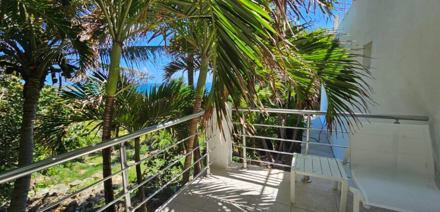 Villa Twin Palms – Your Secluded Oasis in Dawn Beach Estates, St. Maarten