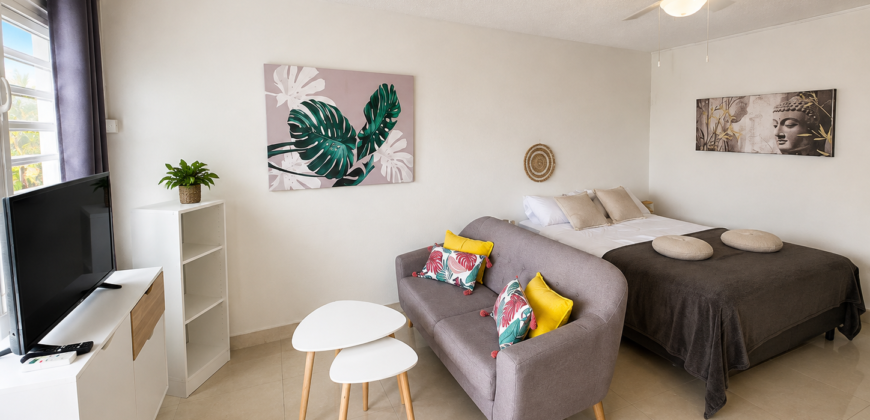 Furnished 1-Bedroom Apartment at Tradewinds
