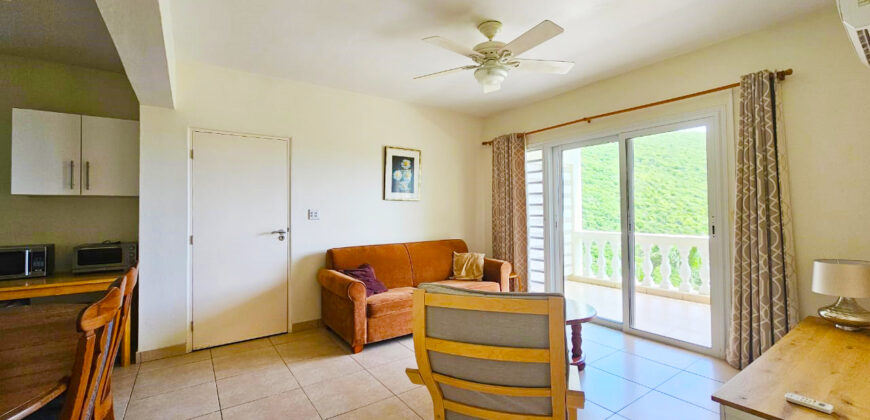 2-Bedroom Ocean View Terrace Apartment for Rent – Dawn Beach