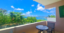 1-Bedroom Apartment with Ocean View in Pelican Key