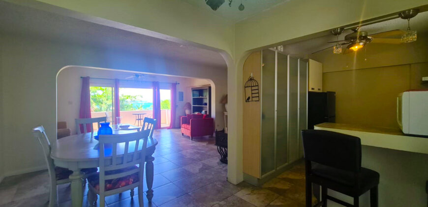 1-Bedroom Apartment with Ocean View in Pelican Key