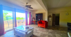 1-Bedroom Apartment with Ocean View in Pelican Key