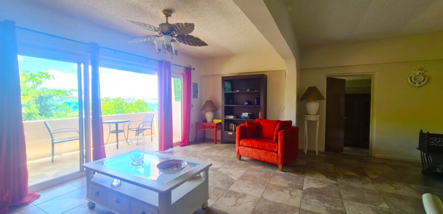 1-Bedroom Apartment with Ocean View in Pelican Key