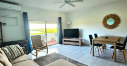 Cozy 1 Bedroom Condo at Vista Verde For Rent