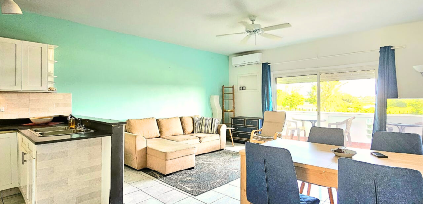 Cozy 1 Bedroom Condo at Vista Verde For Rent