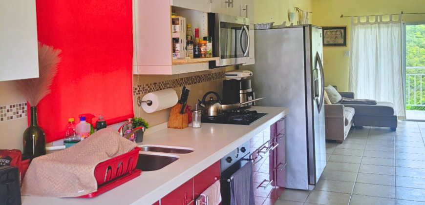 Charming 2-Bedroom Apartment at Flamboyant Residences