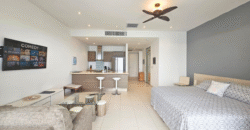 Large Studio in Blue Residence