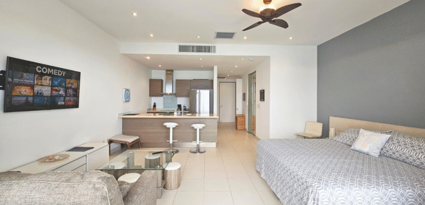Large Studio in Blue Residence