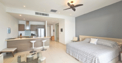 Large Studio in Blue Residence