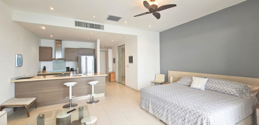 Large Studio in Blue Residence