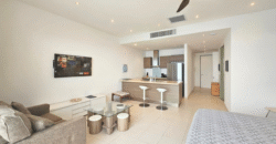 Large Studio in Blue Residence