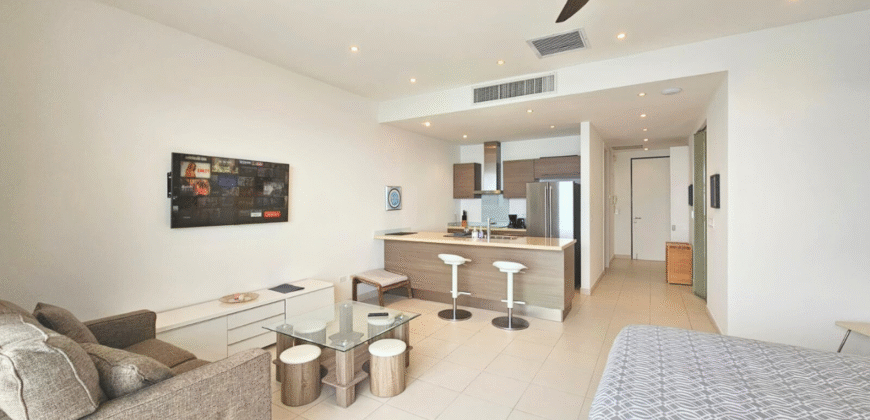 Large Studio in Blue Residence