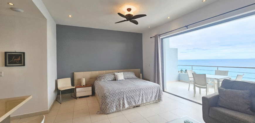 Large Studio in Blue Residence