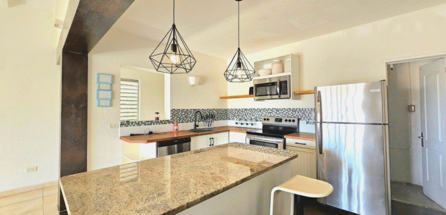 Cea Jae Haven 1-Bedroom Apartment