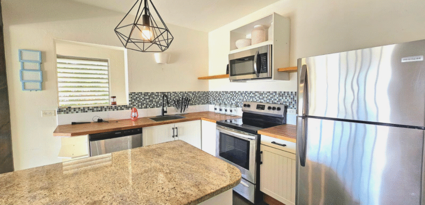 Cea Jae Haven 1-Bedroom Apartment