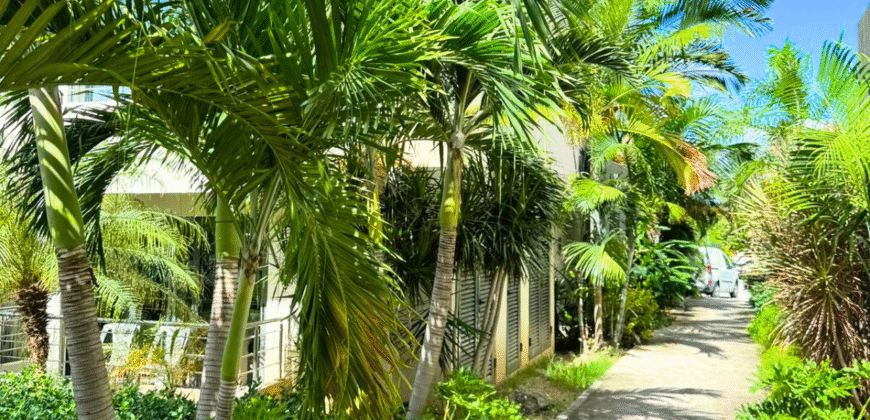 Modern Studio in the Heart of Cupecoy – Jordan Village