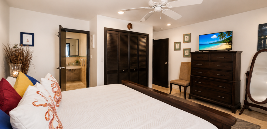 Condo SeaStar – 1-Bedroom Condo in Oyster Bay with Panoramic Ocean Views
