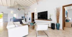 Luxury 4-Bedroom Oceanview Villa with Private Pool in Oyster Pond