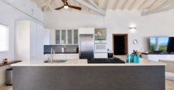 Luxury 4-Bedroom Oceanview Villa with Private Pool in Oyster Pond