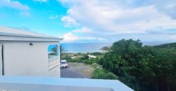 Cozy Apartment with Partial Ocean View in Guana Bay