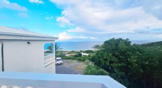 Cozy Apartment with Partial Ocean View in Guana Bay