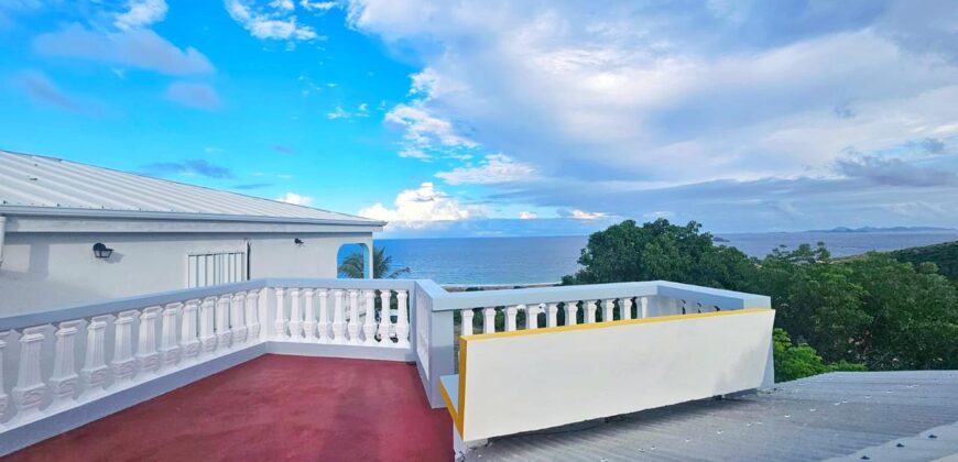 Cozy Apartment with Partial Ocean View in Guana Bay