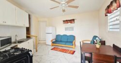 Cozy Apartment with Partial Ocean View in Guana Bay
