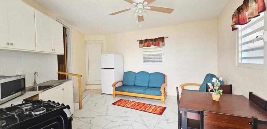 Cozy Apartment with Partial Ocean View in Guana Bay