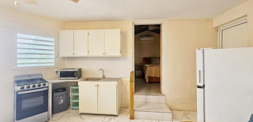 Cozy Apartment with Partial Ocean View in Guana Bay