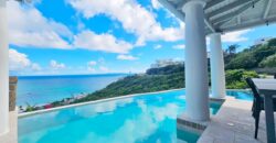 Luxury 4-Bedroom Oceanview Villa with Private Pool in Oyster Pond