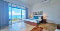 Luxury 4-Bedroom Oceanview Villa with Private Pool in Oyster Pond