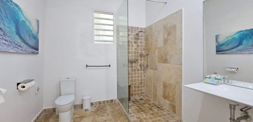 Luxury 4-Bedroom Oceanview Villa with Private Pool in Oyster Pond