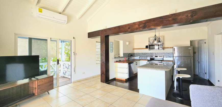 Dual-Unit Property at Cea Jae Haven | Pelican Key