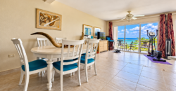 Rainbow Beach Club – Modern Coastal Living in Cupecoy